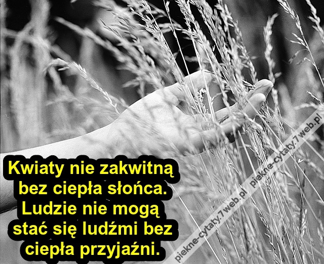 Kwiaty nie zakwitną bez ciepła ...