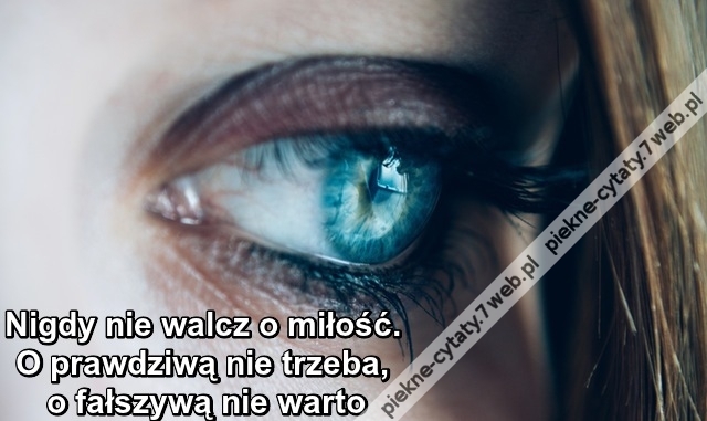 Nigdy nie walcz o miłość ...