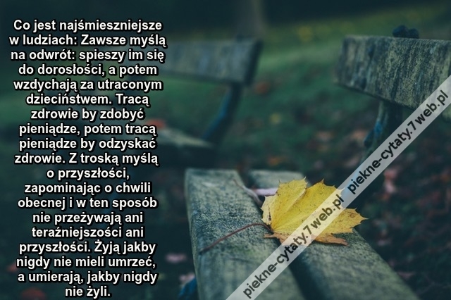 Co jest najśmieszniejsze w ludziach ...