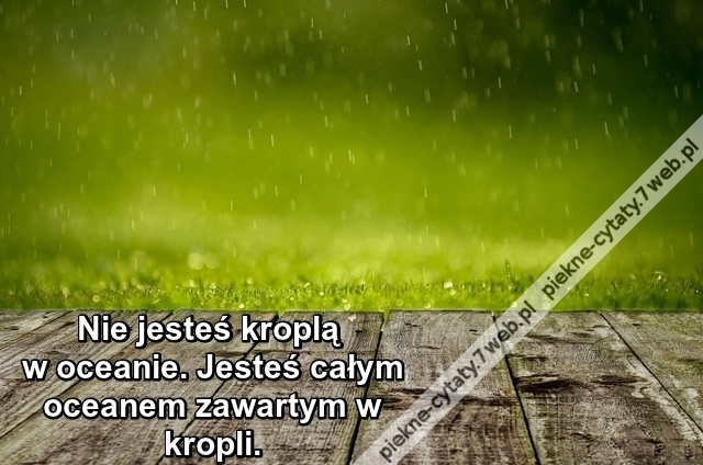 Nie jesteś kroplą w oceanie ...