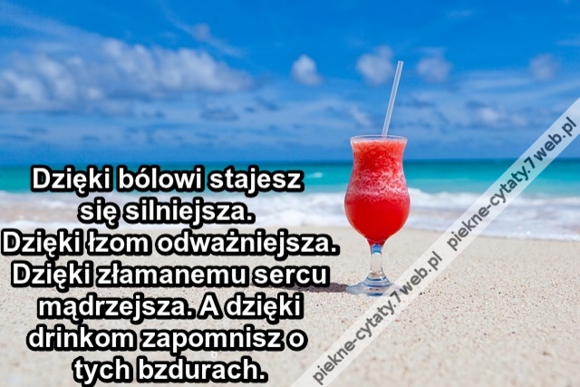 Dzięki bólowi stajesz się silniejsza. Dzięki łzom odważniejsza. Dzięki złamanemu sercu mądrzejsza. A dzięki drinkom zapomnisz o tych bzdurach.