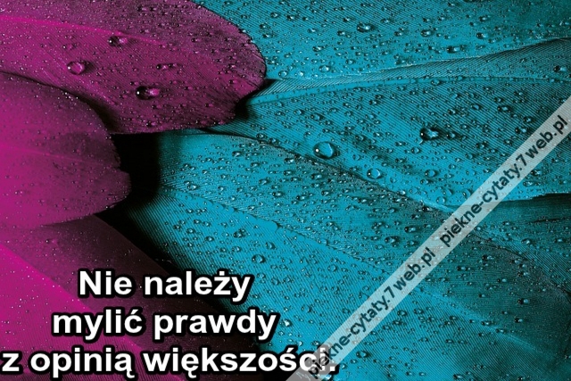 Nie należy mylić prawdy z opinią większości.