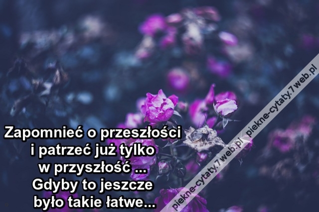 Zapomnieć o przeszłości i patrzeć już tylko w przyszłość . Gdyby to jeszcze było takie łatwe...