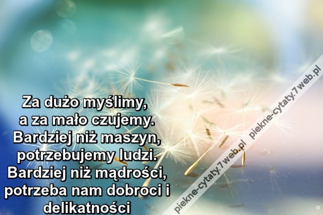 Za dużo myślimy, a za mało czujemy. Bardziej niż maszyn, potrzebujemy ludzi. Bardziej niż mądrości, potrzeba nam dobroci i delikatności