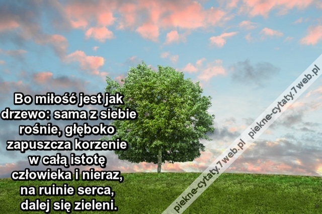 Bo miłość jest jak drzewo: sama z siebie rośnie, głęboko zapuszcza korzenie w całą istotę człowieka i nieraz, na ruinie serca, dalej się zieleni.