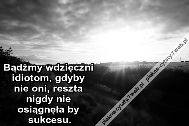 Bądźmy wdzięczni idiotom, gdyby nie oni, reszta nigdy nie osiągnęła by sukcesu. |