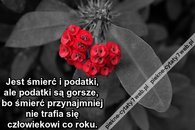 Jest śmierć i podatki, ale podatki są gorsze, bo śmierć przynajmniej nie trafia się człowiekowi co roku.