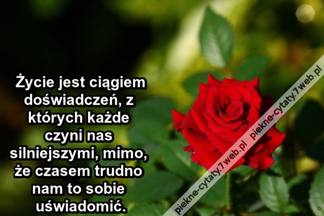 Życie jest ciągiem doświadczeń, z których każde czyni nas silniejszymi, mimo, że czasem trudno nam to sobie uświadomić.