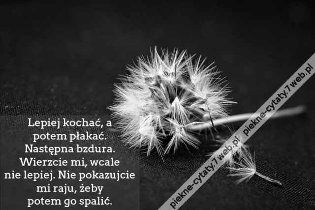 Lepiej kochać, a potem płakać. Następna bzdura. Wierzcie mi, wcale nie lepiej. Nie pokazujcie mi raju, żeby potem go spalić.