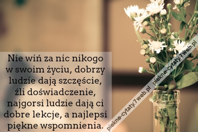 Nie wiń za nic nikogo w swoim życiu, dobrzy ludzie dają szczęście,źli doświadczenie, najgorsi ludzie dają ci dobre lekcje, a najlepsi piękne wspomnienia.