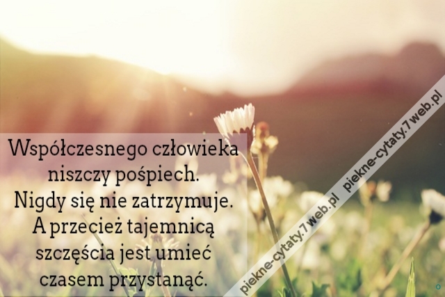 Współczesnego człowieka niszczy pośpiech. Nigdy się nie zatrzymuje. A przecież tajemnicą szczęścia jest umieć czasem przystanąć.