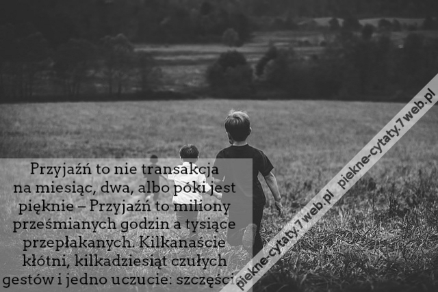 Przyjaźń to nie transakcja na miesiąc, dwa, albo póki jest pięknie – Przyjaźń to miliony prześmianych godzin a tysiące przepłakanych. Kilkanaście kłótni, kilkadziesiąt czułych gestów i jedno uczucie: szczęście.