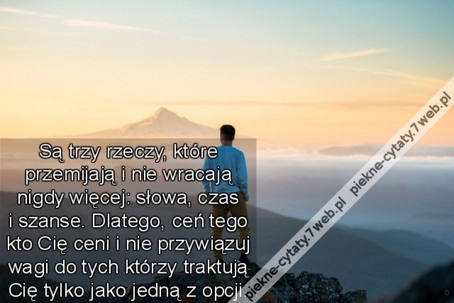 Są trzy rzeczy, które przemijają i nie wracają nigdy więcej: słowa, czas i szanse. Dlatego, ceń tego kto Cię ceni i nie przywiązuj wagi do tych którzy traktują Cię tylko jako jedną z opcji.