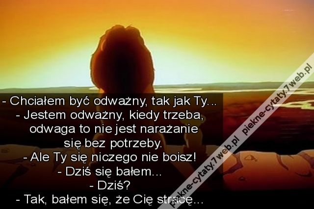 - Chciałem być odważny, tak jak Ty... - Jestem odważny, kiedy trzeba, odwaga to nie jest narażanie się bez potrzeby. - Ale Ty się niczego nie boisz! - Dziś się bałem... - Dziś? - Tak, bałem się, że Cię stracę...