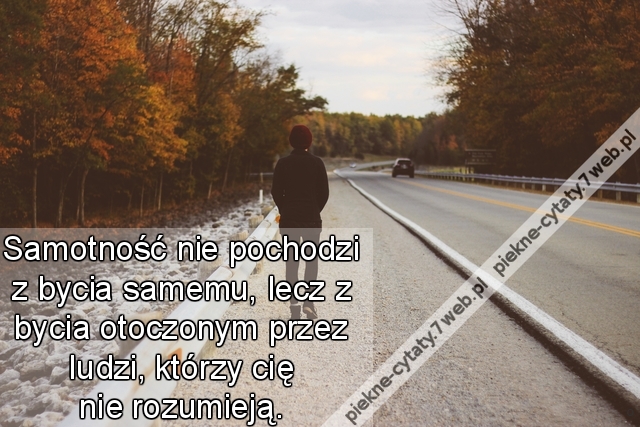 Samotność nie pochodzi z bycia samemu, lecz z bycia otoczonym przez ludzi, którzy cię nie rozumieją.