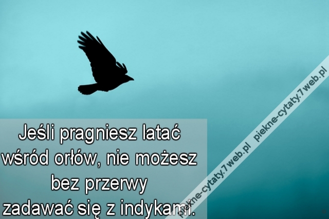 Jeśli pragniesz latać wśród orłów, nie możesz bez przerwy zadawać się z indykami.