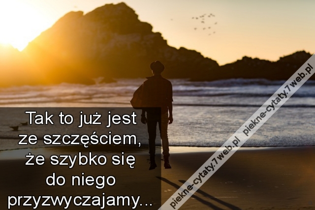 Tak to już jest ze szczęściem, że szybko się do niego przyzwyczajamy...