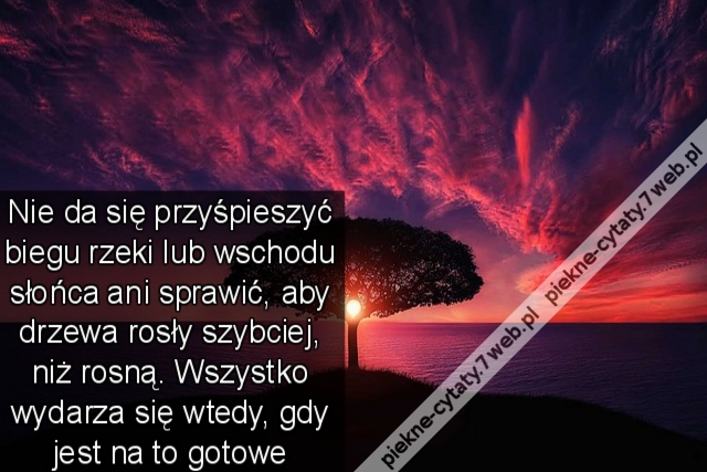 Nie da się przyśpieszyć biegu rzeki lub wschodu słońca ani sprawić, aby drzewa rosły szybciej, niż rosną. Wszystko wydarza się wtedy, gdy jest na to gotowe