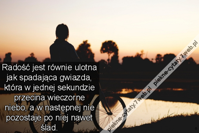 Radość jest równie ulotna jak spadająca gwiazda, która w jednej sekundzie przecina wieczorne niebo, a w następnej nie pozostaje po niej nawet ślad.