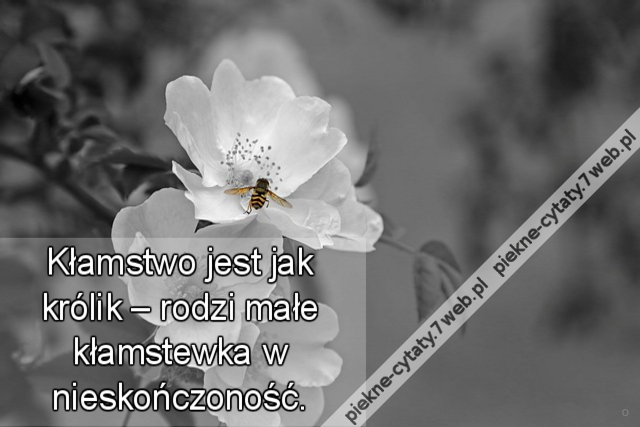 Kłamstwo jest jak królik – rodzi małe kłamstewka w nieskończoność.