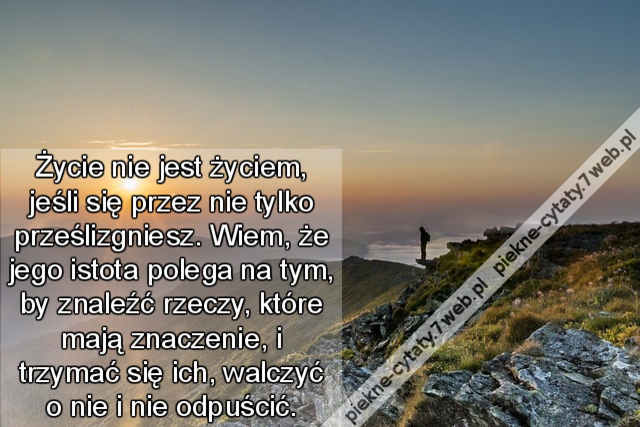 Życie nie jest życiem, jeśli się przez nie tylko prześlizgniesz. Wiem, że jego istota polega na tym, by znaleźć rzeczy, które mają znaczenie, i trzymać się ich, walczyć o nie i nie odpuścić.