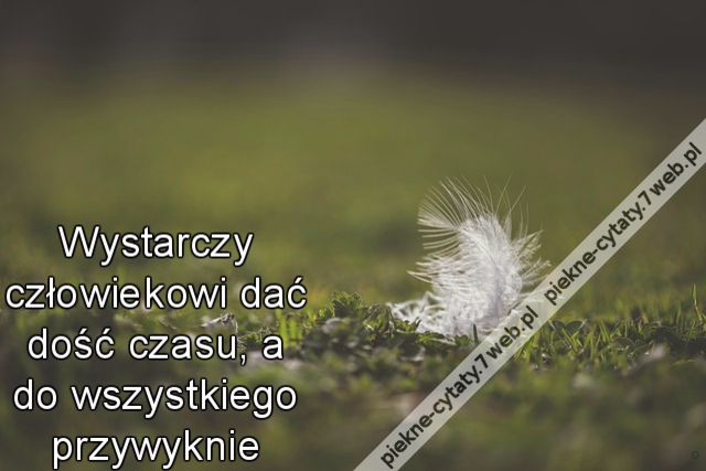 Wystarczy człowiekowi dać dość czasu, a do wszystkiego przywyknie