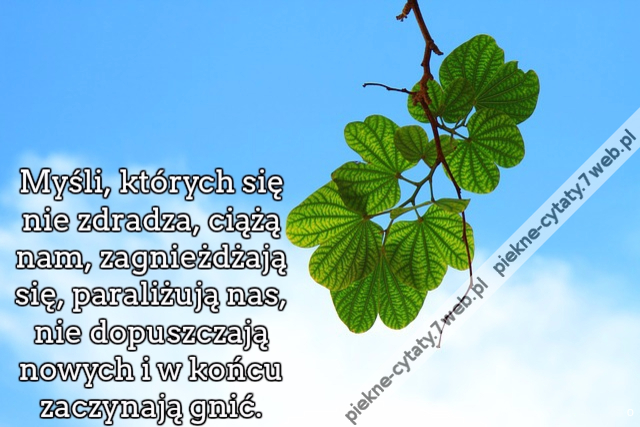 Myśli, których się nie zdradza, ciążą nam, zagnieżdżają się, paraliżują nas, nie dopuszczają nowych i w końcu zaczynają gnić.