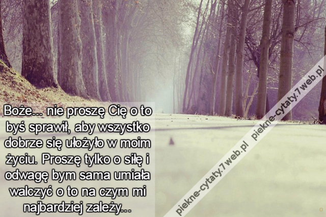 Boże... nie proszę Cię o to byś sprawił, aby wszystko dobrze się ułożyło w moim życiu. Proszę tylko o siłę i odwagę bym sama umiała walczyć o to na czym mi najbardziej zależy...