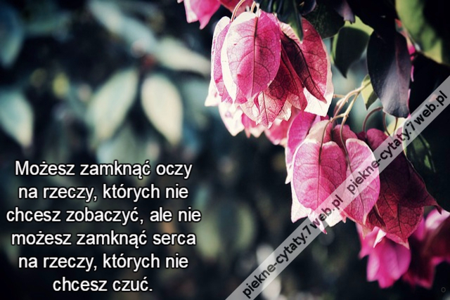 Możesz zamknąć oczy na rzeczy, których nie chcesz zobaczyć, ale nie możesz zamknąć serca na rzeczy, których nie chcesz czuć.