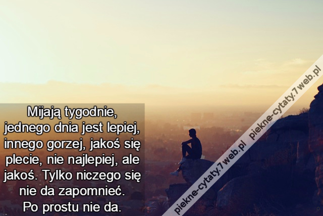 Mijają tygodnie, jednego dnia jest lepiej, innego gorzej, jakoś się plecie, nie najlepiej, ale jakoś. Tylko niczego się nie da zapomnieć. Po prostu nie da.