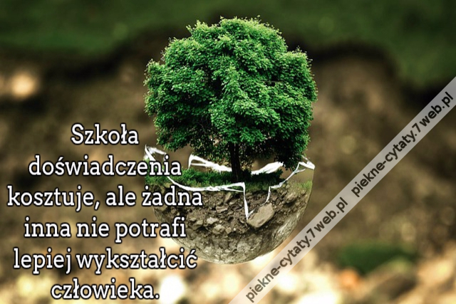 Szkoła doświadczenia kosztuje, ale żadna inna nie potrafi lepiej wykształcić człowieka.