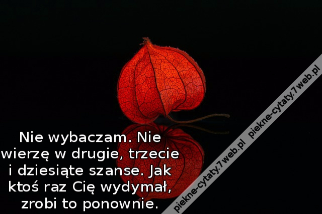 Nie wybaczam. Nie wierzę w drugie, trzecie i dziesiąte szanse. Jak ktoś raz Cię wydymał, zrobi to ponownie.