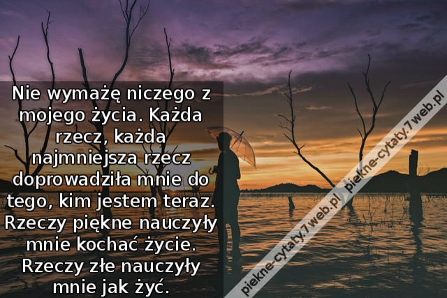 Nie wymażę niczego z mojego życia. Każda rzecz, każda najmniejsza rzecz doprowadziła mnie do tego, kim jestem teraz. Rzeczy piękne nauczyły mnie kochać życie. Rzeczy złe nauczyły mnie jak żyć.