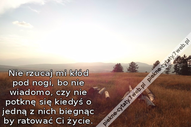 Nie rzucaj mi kłód pod nogi, bo nie wiadomo, czy nie potknę się kiedyś o jedną z nich biegnąc by ratować Ci życie.