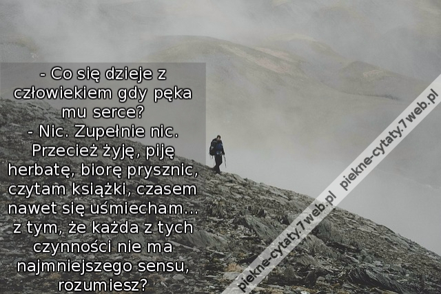 - Co się dzieje z człowiekiem gdy pęka mu serce? - Nic. Zupełnie nic. Przecież żyję, piję herbatę, biorę prysznic, czytam książki, czasem nawet się uśmiecham... z tym, że każda z tych czynności nie ma najmniejszego sensu, rozumiesz? - Tak