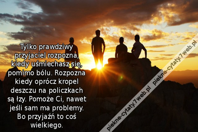 Tylko prawdziwy przyjaciel rozpozna, kiedy uśmiechasz się, pomimo bólu. Rozpozna kiedy oprócz kropel deszczu na policzkach są łzy. Pomoże Ci, nawet jeśli sam ma problemy. Bo przyjaźń to coś wielkiego.