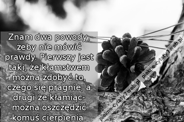 Znam dwa powody, żeby nie mówić prawdy. Pierwszy jest taki, że kłamstwem można zdobyć to, czego się pragnie, a drugi że kłamiąc- można oszczędzić komuś cierpienia.