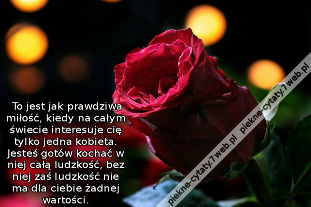 To jest jak prawdziwa miłość, kiedy na całym świecie interesuje cię tylko jedna kobieta. Jesteś gotów kochać w niej całą ludzkość, bez niej zaś ludzkość nie ma dla ciebie żadnej wartości.