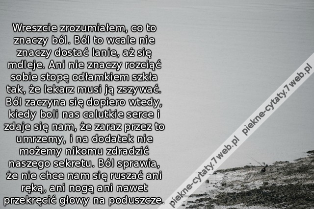 Wreszcie zrozumiałem, co to znaczy ból. Ból to wcale nie znaczy dostać lanie, aż się mdleje. Ani nie znaczy rozciąć sobie stopę odłamkiem szkła tak, że lekarz musi ją zszywać. Ból zaczyna się dopiero wtedy, kiedy boli nas calutkie serce i zdaje się nam, ż