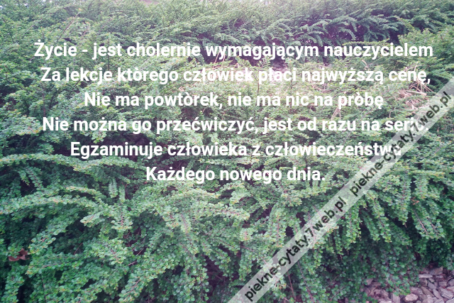 Życie - jest cholernie wymagającym nauczycielem \r\nZa lekcje ktòrego człowiek płaci najwyższą cenę,\r\nNie ma powtòrek, nie ma nic na pròbę \r\nNie można go przećwiczyć, jest od razu na serio.\r\nEgzaminuje człowieka z człowieczeństwa\r\nKażdego nowego dnia.