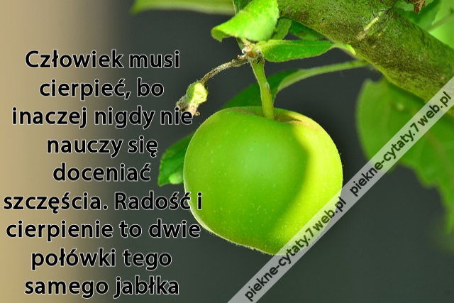 Człowiek musi cierpieć, bo inaczej nigdy nie nauczy się doceniać szczęścia. Radość i cierpienie to dwie połówki tego samego jabłka