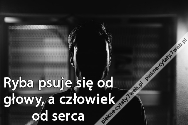 Ryba psuje się od głowy, a człowiek od serca