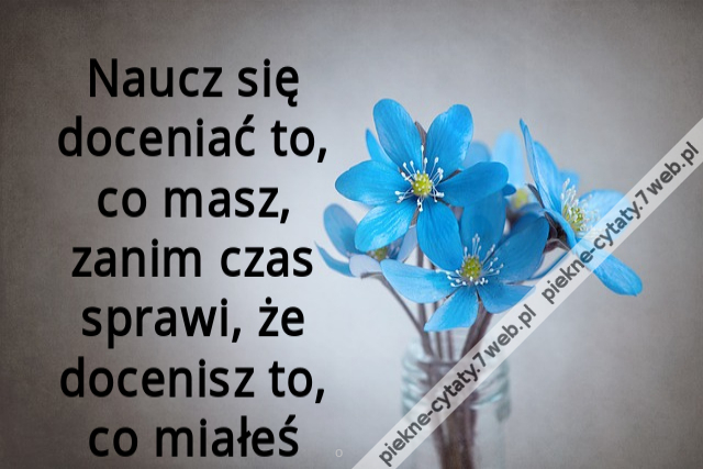 Naucz się doceniać to, co masz, zanim czas sprawi, że docenisz to, co miałeś