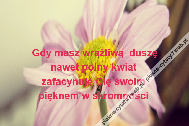 Gdy masz wrażliwą  duszę\r\nnawet polny kwiat \r\nzafacynuje Cię swoim \r\npięknem w skromności
