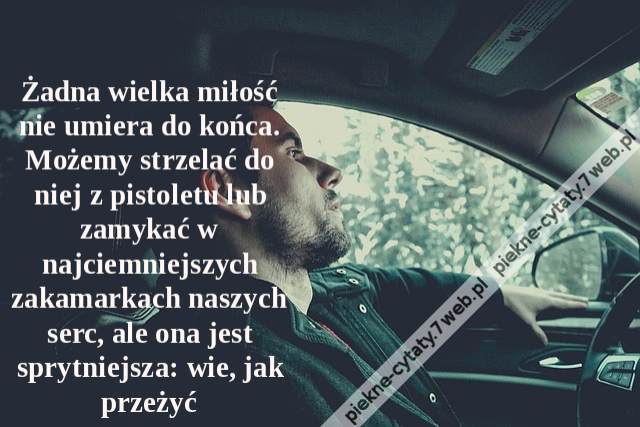 Żadna wielka miłość nie umiera do końca. Możemy strzelać do niej z pistoletu lub zamykać w najciemniejszych zakamarkach naszych serc, ale ona jest sprytniejsza: wie, jak przeżyć