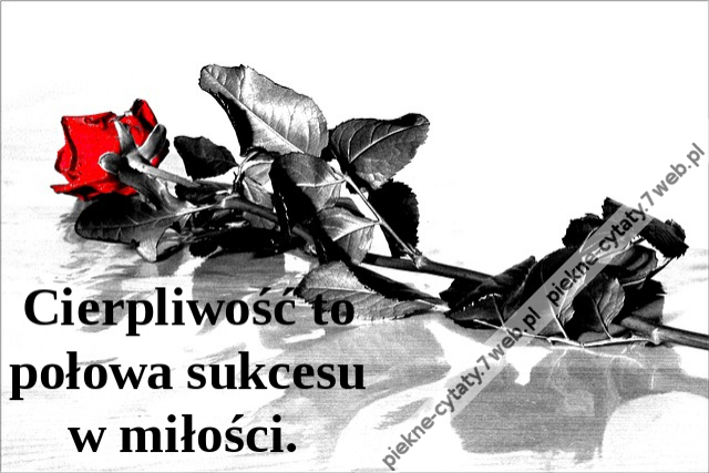 Cierpliwość to połowa sukcesu w miłości.