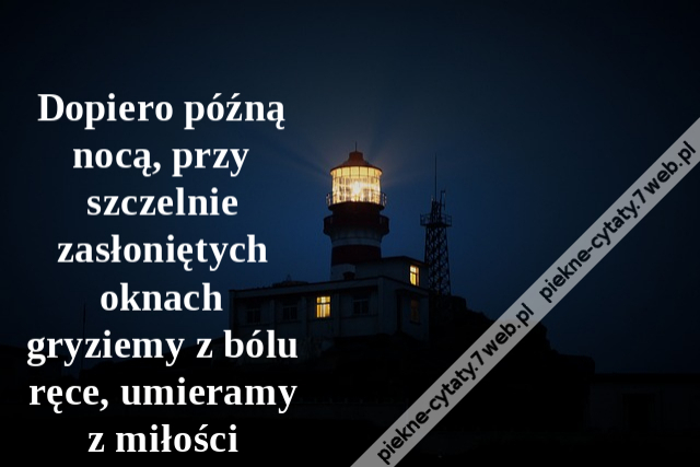 Dopiero późną nocą, przy szczelnie zasłoniętych oknach gryziemy z bólu ręce, umieramy z miłości