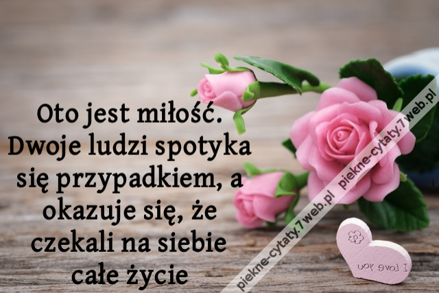 Oto jest miłość. Dwoje ludzi spotyka się przypadkiem, a okazuje się, że czekali na siebie całe życie