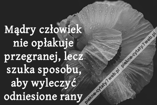 Mądry człowiek nie opłakuje przegranej, lecz szuka sposobu, aby wyleczyć odniesione rany