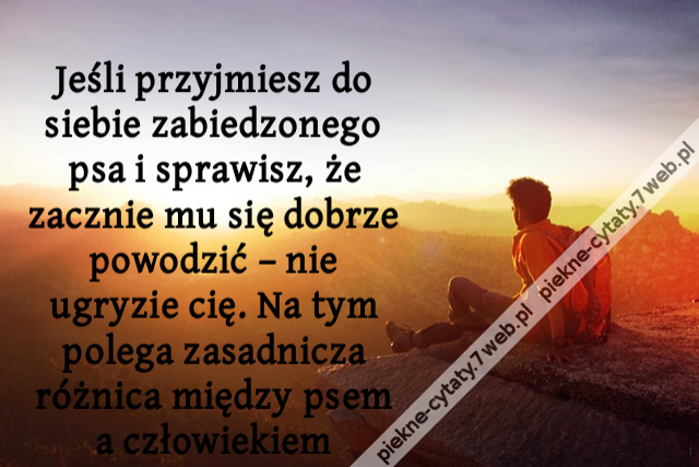 Jeśli przyjmiesz do siebie zabiedzonego psa i sprawisz, że zacznie mu się dobrze powodzić – nie ugryzie cię. Na tym polega zasadnicza różnica między psem a człowiekiem